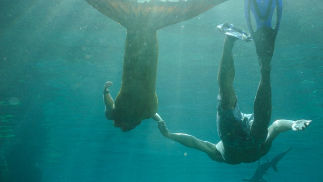 File:Bella, Will & Shark.png