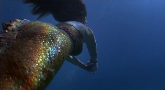 File:The Tail.png