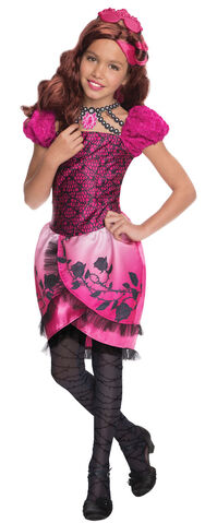 File:884910-Briar-Beauty-Girls-Costume-large.jpg