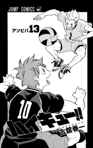 File:Volume 13 Inner Cover.png