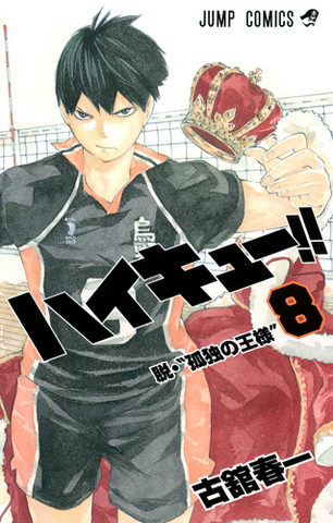 File:Volume 8.png