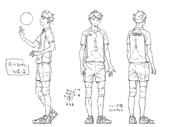 Plik:Oikawa projekt 3.png
