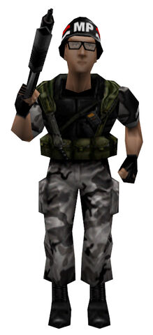 File:MPmodel.jpg