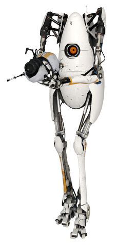 File:P-body model.jpg