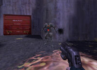 Deagle sight.jpg