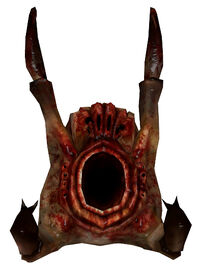 Headcrab underbelly.jpg