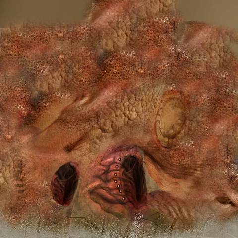 File:Sb text.png