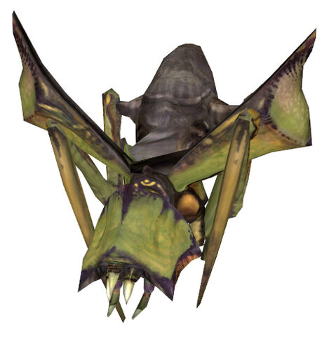 File:Antlion jump.jpg