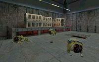 Hounds resting.jpg