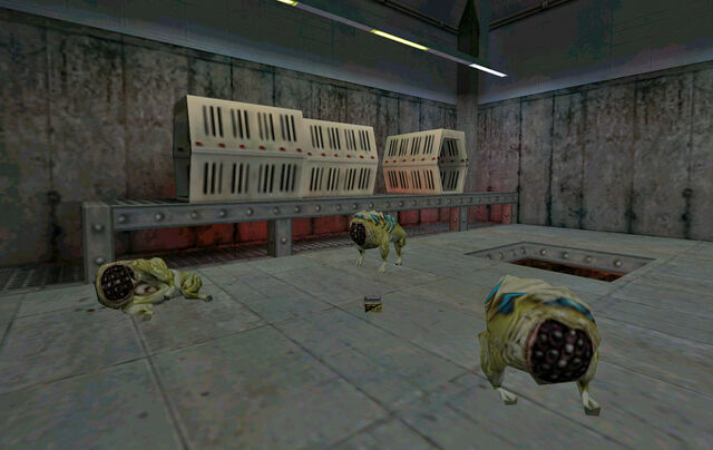 File:Hounds resting.jpg