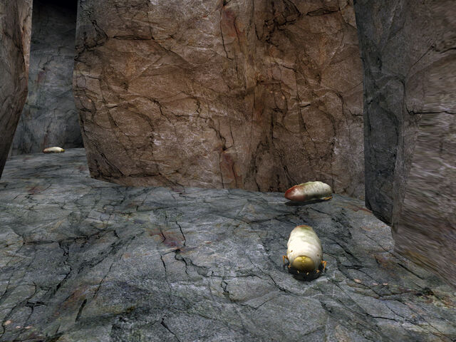 File:Antcave01.jpg