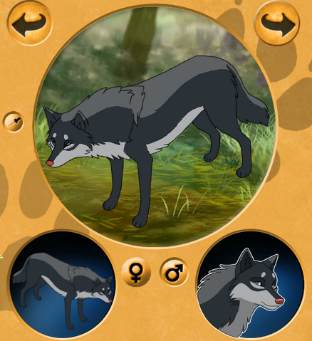 File:Darkstorm wolf 2.png