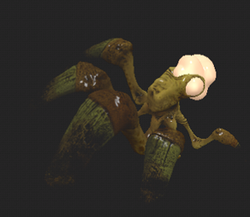Shieldbug.png