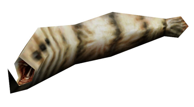 Archivo:Leech HL1.jpg