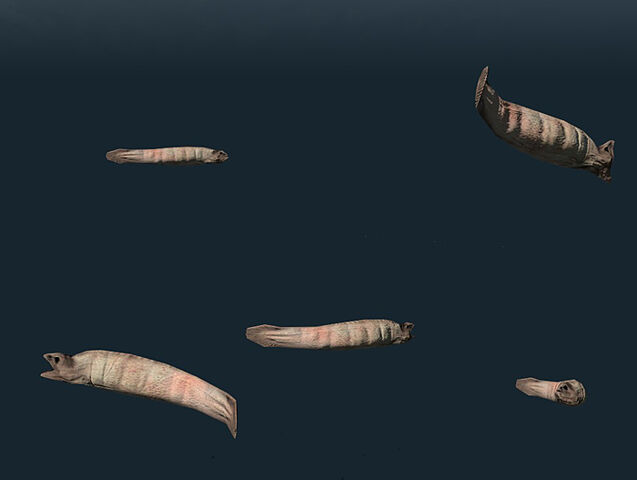 Archivo:Leeches deep.jpg