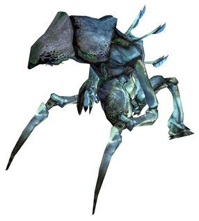 Antlion Queen