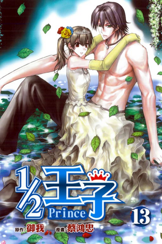 File:Volume 13.png