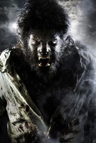 File:Wolfman.jpg