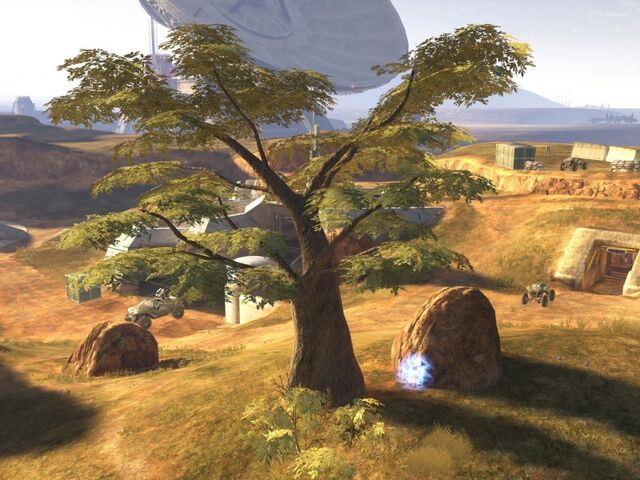 File:800px-Standoff Tree.jpg