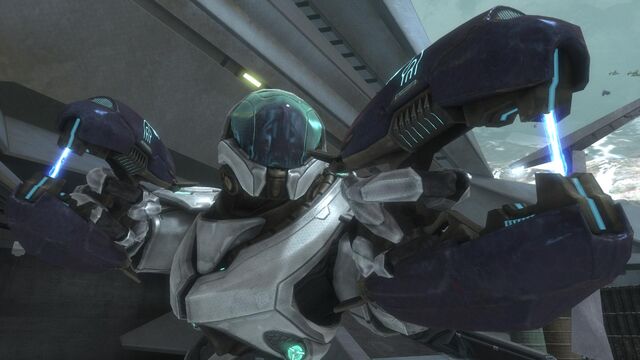 File:Reach 26512790 Full.jpg