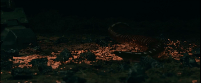 File:Hunter worm.png
