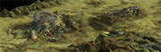 Freilassung.png
