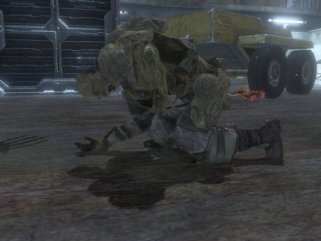 File:1216051647 Infected.jpg