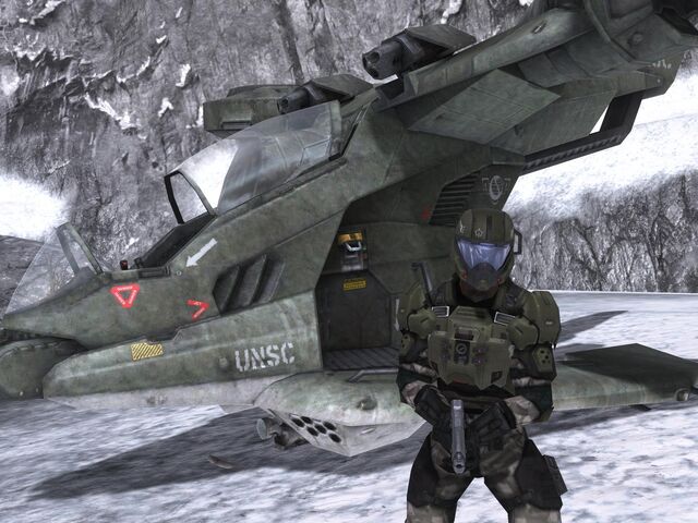 File:PilotWithHornet.jpg