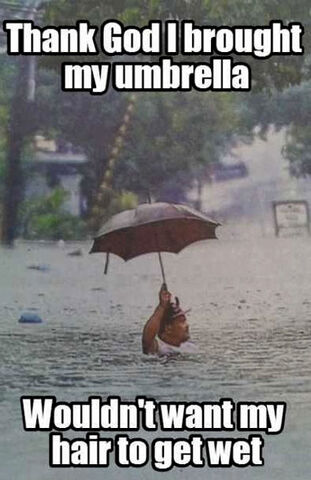 File:Wouldnt-want-my-hair-to-get-wet.jpg