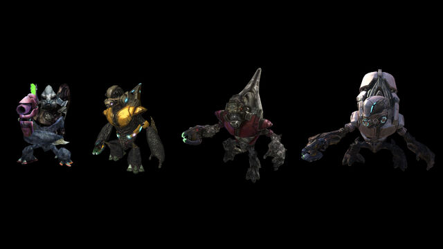 Datei:Halo-Grunt-Comparisons.jpg