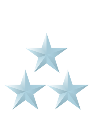 File:Colonel Grade One.png