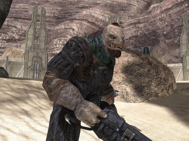 File:Brute Bare.jpg