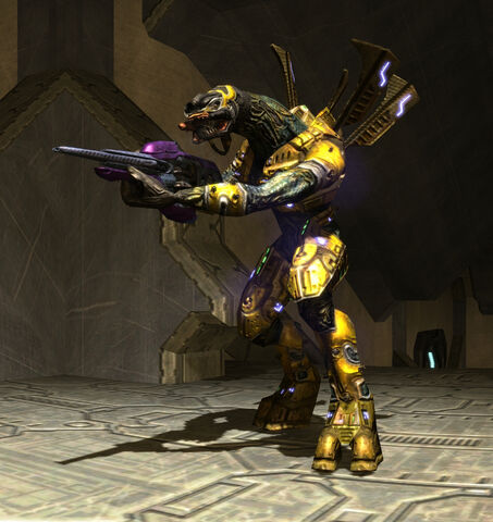 File:HereticEliteCarbine.jpg