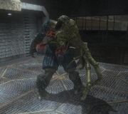 Infected20Brute.jpg