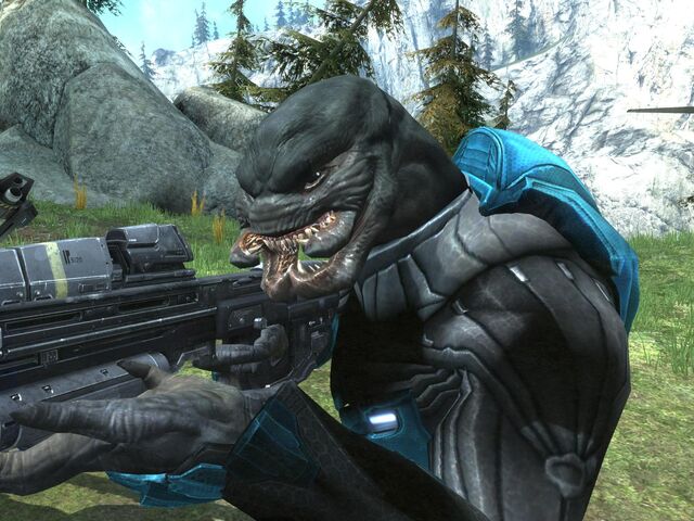 File:Elite Hologram Bug.jpg