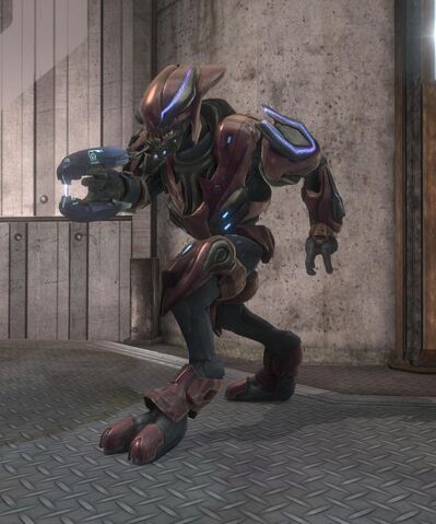 File:Sangheili Zealot.jpg