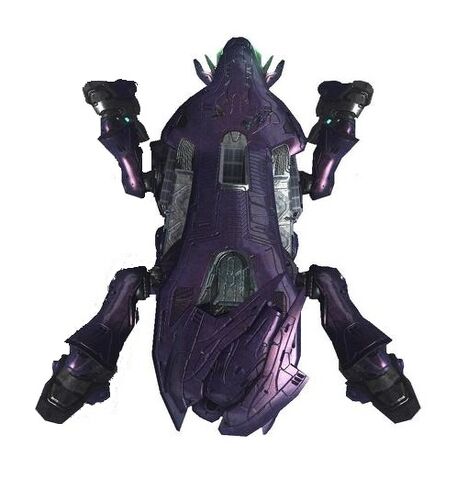 Datei:800px-Scarab pic.jpg
