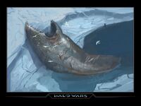 Harvest Whale