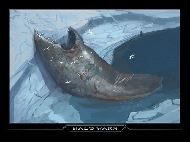 File:Harvest Whale.jpg