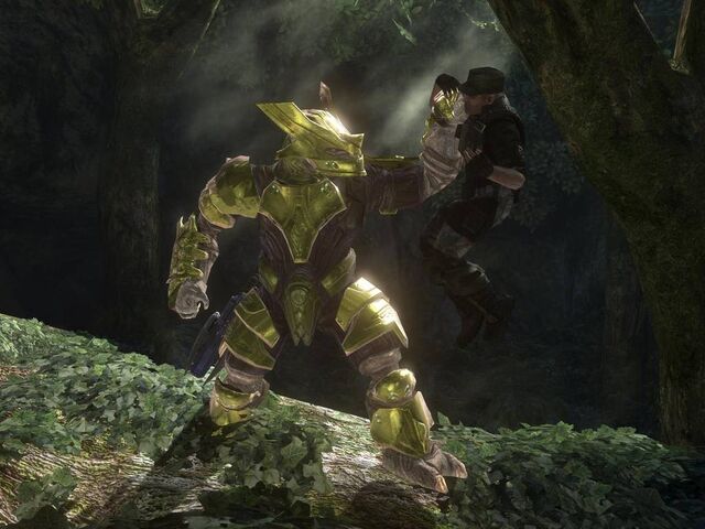 File:1217034556 Brute Captain.jpg