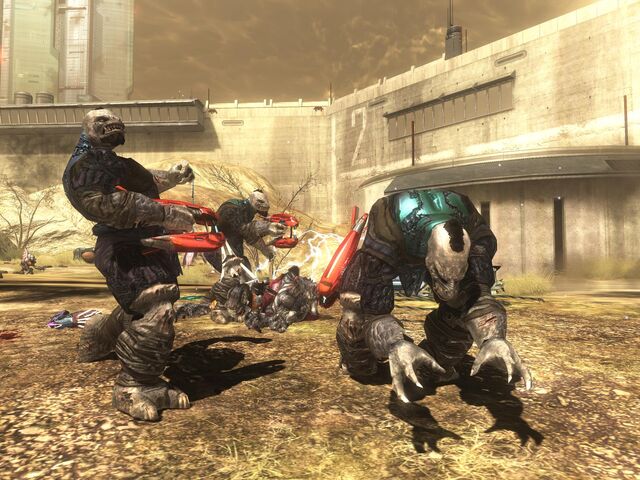 File:Brute Plasma Rifles ODST.jpg