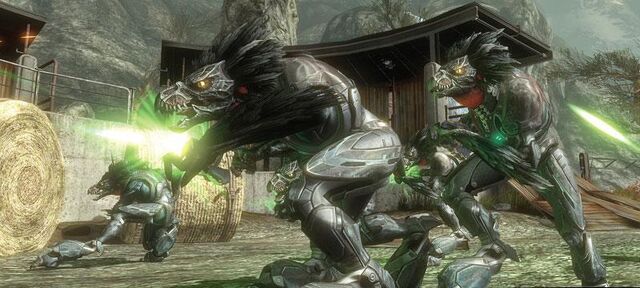 Datei:Halo skrimisers.jpg