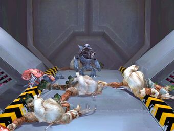 Grunt Assetato.jpg