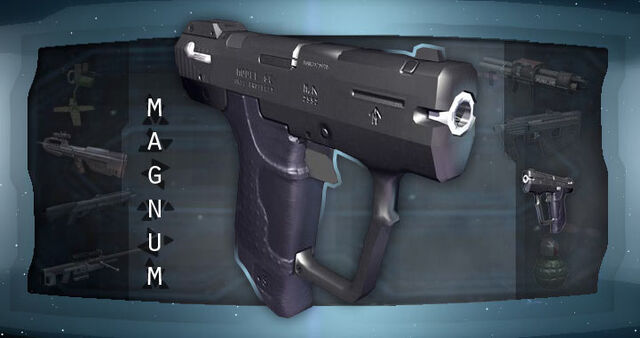 File:Magnum profile.jpg