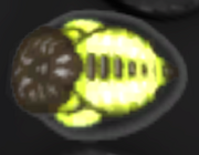 Cucaracha de Gran Caridad.png
