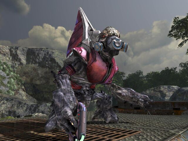 File:Grunt Major 2.jpg