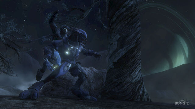 File:Night 07.jpg