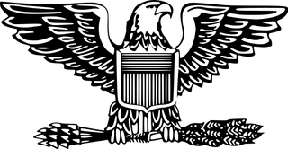 Distintivo Colonnello
