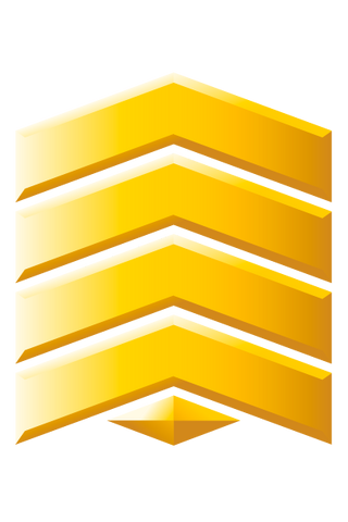 File:Gunnery Sergeant Grade Two.png