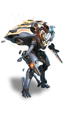 Knight commander